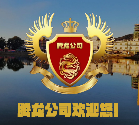 腾龙商务品牌发展历程